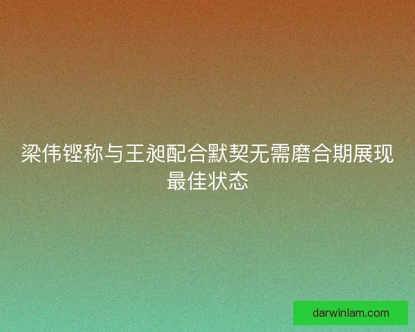 梁伟铿称与王昶配合默契无需磨合期展现最佳状态